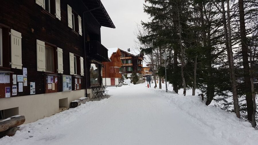 From Zürich: Exclusive Private Tour to Mt. Schilthorn - Timing, walking pace, and when the day can feel long