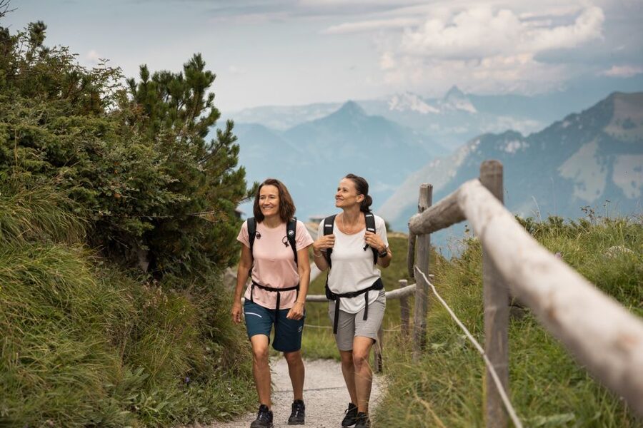 From Zurich: Full-Day Mount Stanserhorn Discovery Tour - Price, value, and who this Stanserhorn day trip suits best