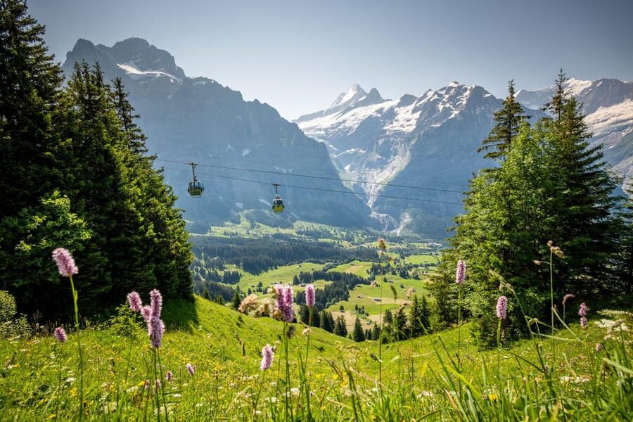 From Zurich: Grindelwald First Cable Car & Interlaken - Cliff Walk With a 40-Meter One-Rope Suspension Bridge