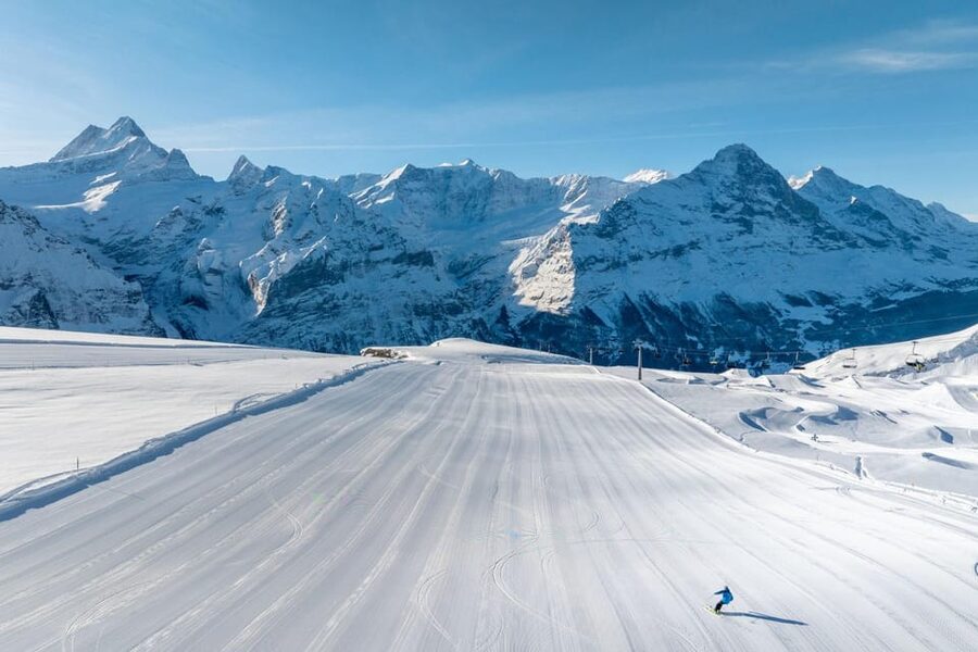 From Zurich: Grindelwald First Cable Car & Interlaken - Interlaken Höhematte Stop, Paragliders, and Central Park Views