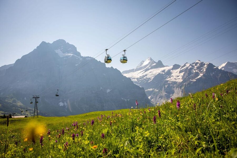From Zurich: Grindelwald First Cable Car & Interlaken - Price and Time Value for a $238, 10-Hour Day