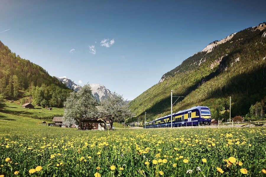 From Zurich: Grindelwald First Mountain Adventure Day Trip - First Cliff Walk by Tissot and First View: how to enjoy the best moments