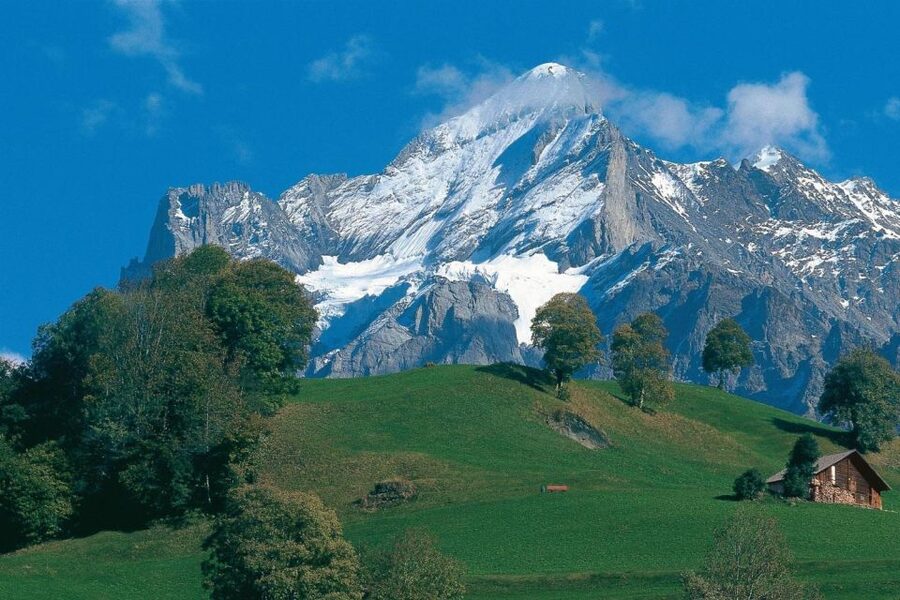 From Zürich: Interlaken and Grindelwald Day Trip by Coach - Rain or Shine: What to Pack for an Alpine Coach Day