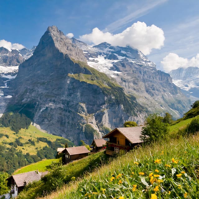 From Zurich: Interlaken and Grindelwald Private Day Tour - Guided Segments vs. Driver-Only Travel: The Real Benefit of an Expert Local