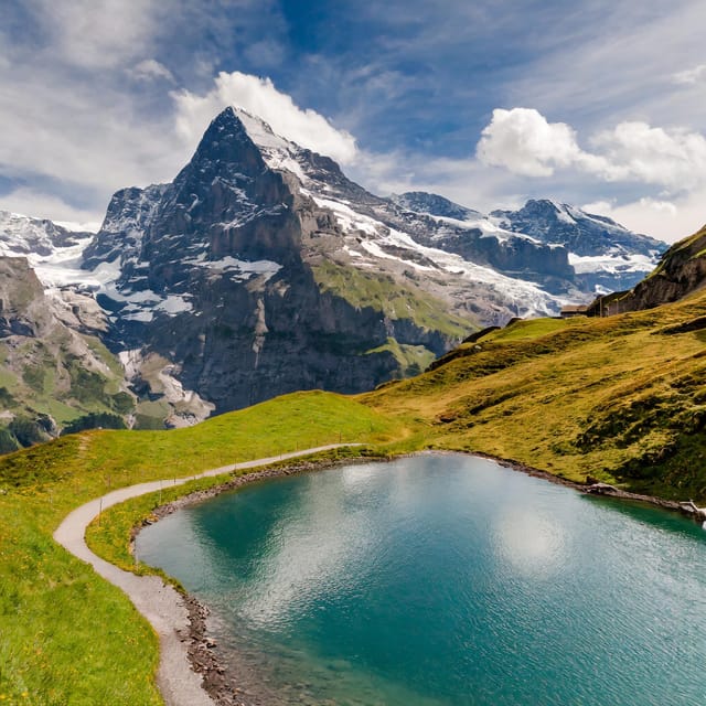 From Zurich: Interlaken and Grindelwald Private Day Tour - Flexibility That Actually Feels Flexible, Not Random