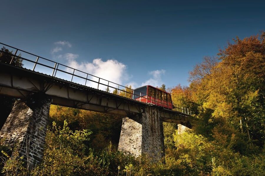 From Zurich: Interlaken Day Trip and Harder Kulm Viewpoint - Key highlights to know before you go