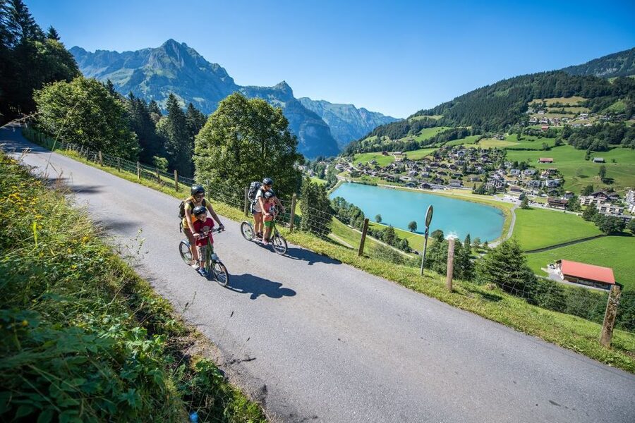 From Zurich: Lucerne and Engelberg Full-Day Tour - Price and Value Around $98, and Who This Tour Fits Best