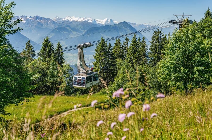 From Zurich: Mount Rigi and Lucerne Small-Group Day Trip - Getting from Zurich to Weggis, the ride that sets your expectations