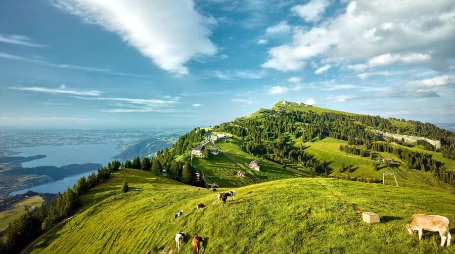 From Zurich: Mount Rigi and Lucerne Small-Group Day Trip - What to wear and how to plan your day so it feels easy
