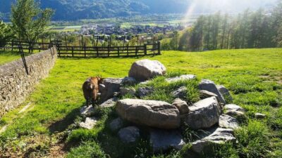 Private Trip to Liechtenstein and Heidiland