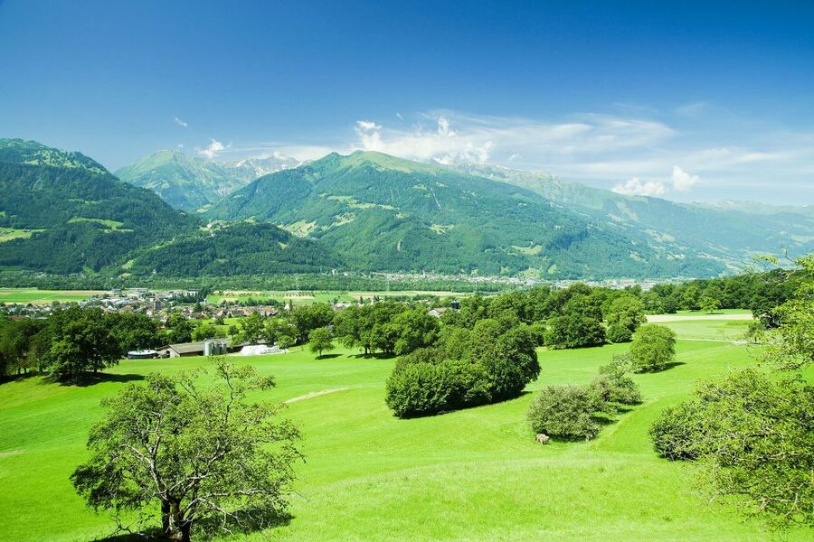 From Zurich: Private Trip to Liechtenstein and Heidiland - Get Your Vaduz Passport Stamp, Then Use Your Questions Wisely
