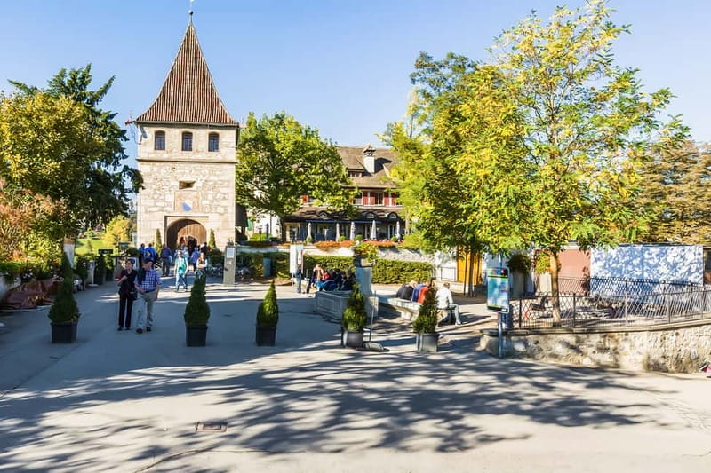 From Zurich: Rhine Falls Coach Tour - Who Should Book This Rhine Falls Coach Tour