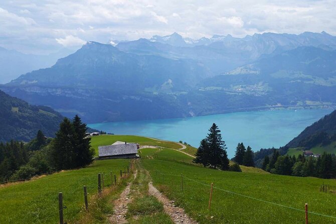 Full-Day Hiking Swiss Alps and Lake swim with Pick-up - 3 to 4 Hours on the Trail: Pace Control, Views, and Safety Bets