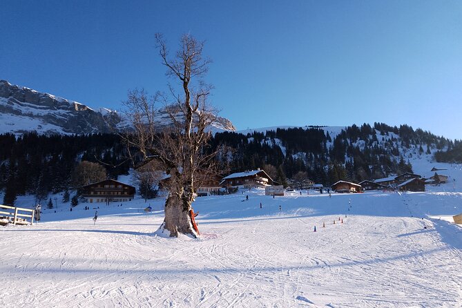 Fully organized Ski Experience for Private Groups - Return to Interlaken and Afternoon Options at Giessbach or Iseltwald