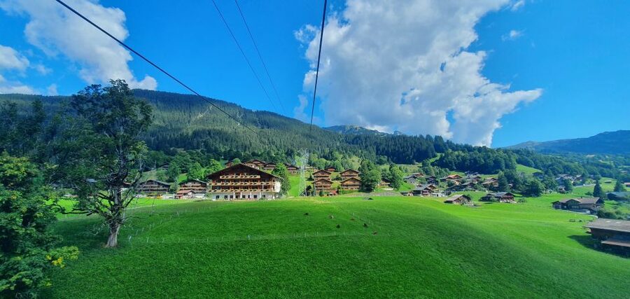 Grindelwald First: Cable Car Ticket with Cliff Walk - Who this ticket fits best (and who should think twice)