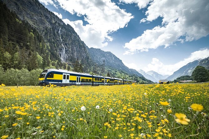 Grindelwald First - Top of Adventure from Zurich - Group size, guides, and what the meeting point experience feels like