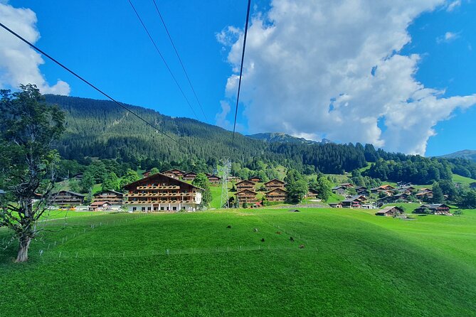 Grindelwald First (Top of Adventure) Ticket incl. Cliff Walk - Up the mountain with the Firstbahn AG cableway, and how to pace it