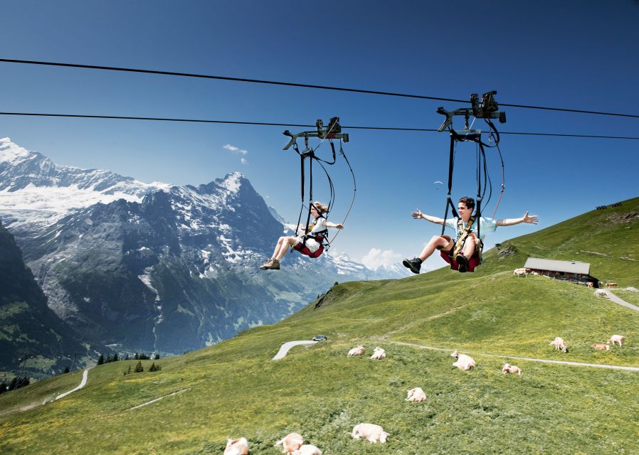 Grindelwald Gondola Ride to Mount First - Who This Is Best For, Families, Couples, and Thrill Seekers