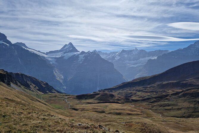 Grindelwald Guided Day Hike - More than “just views”: meadows, cows, and wildlife moments