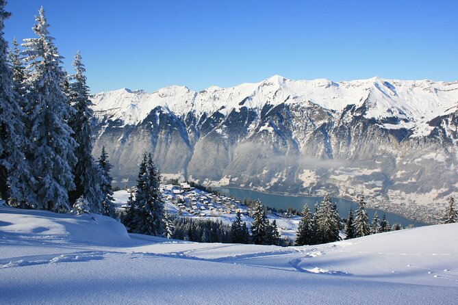 Grindelwald, Interlaken & Lauterbrunnen Day Trip from Zurich - Getting There: Meeting Point, Group Size, and What the Coach Does for You