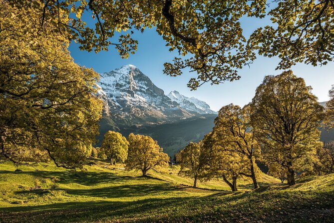 Grindelwald, Interlaken & Lauterbrunnen Day Trip from Zurich - Weather, Reverse Order, and Sunday Shop Closures