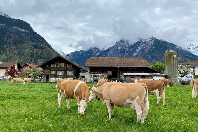 Grindelwald, Lauterbrunnen & Mürren Private Day Trip from Zurich - Grindelwald plus options: shopping time, viewpoints, or lakeside Iseltwald