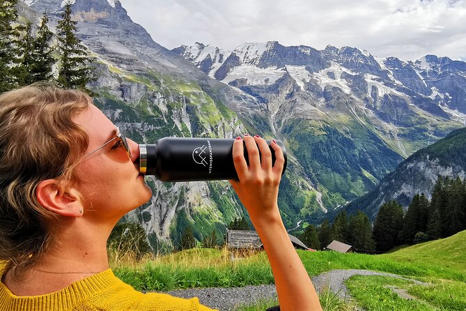 Grindelwald, Lauterbrunnen & Mürren Private Day Trip from Zurich - Price and logistics: what $1,409.95 per person is really paying for