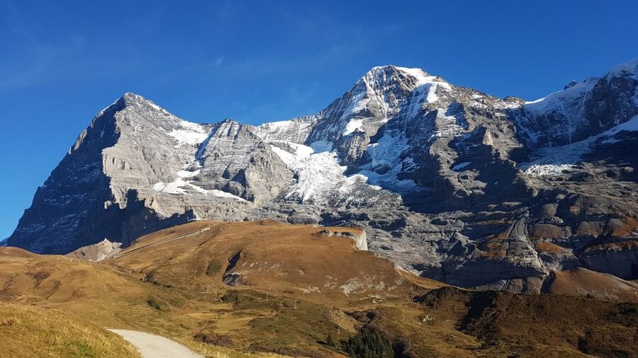 Grindelwald-Scheidegg-Lauterbrunnen Small Group Tour - Who should book this tour, and who should skip it