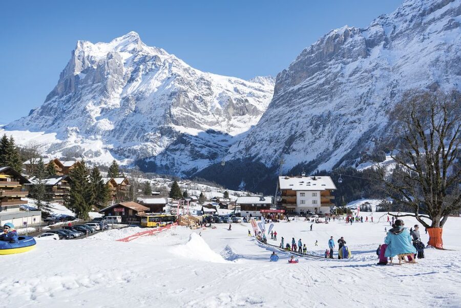 Grindelwald: Sledding at Bodmi Arena - Quick Hits: What You Should Know Before Your Sled Day
