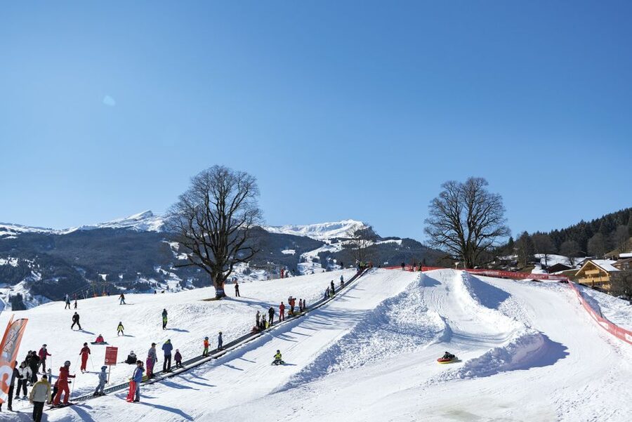 Grindelwald: Sledding at Bodmi Arena - Bodmi Arena, Grindelwald: Why Sledding Feels This Accessible