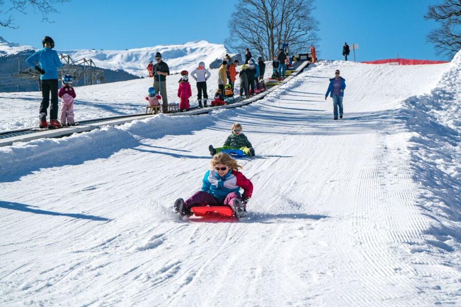 Grindelwald: Sledding at Bodmi Arena - Arriving in Grindelwald: Bus-First Access and Limited Parking
