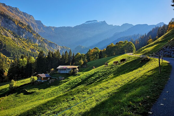 Guided Excursion to Jungfraujoch, Grindelwald and Lauterbrunnen from Lucerne - The descent via Kleine Scheidegg and the Lauterbrunnen valley feel