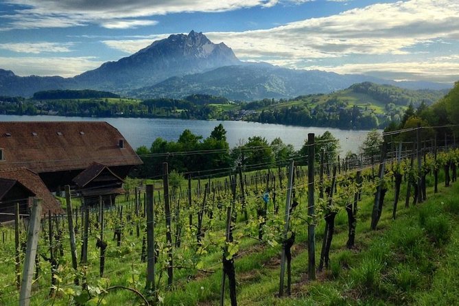 Half-Day Lake Lucerne Country Walk - Why a Half-Day Walk Works So Well in Lucerne
