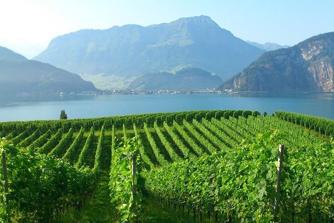 Half-Day Lake Lucerne Country Walk - What You’ll See on the Route: Lake Lucerne and Alpine Peaks