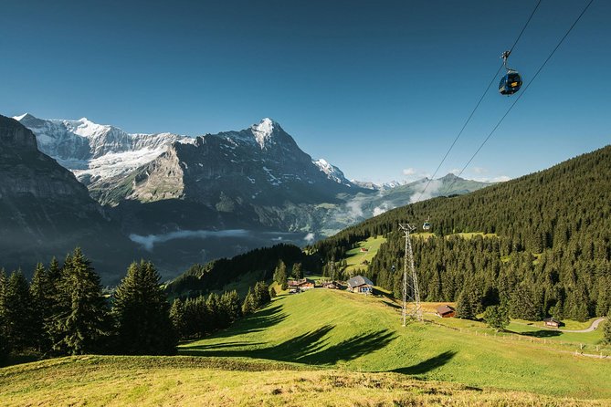 Interlaken and Grindelwald Day Trip from Lucerne - Guide style and meeting rules, why it affects your day
