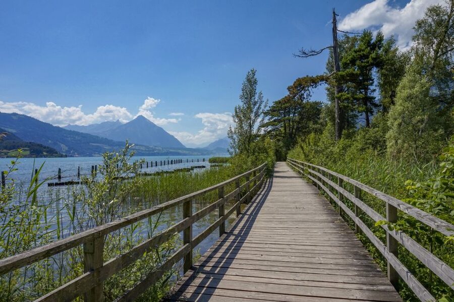 Interlaken: Express Walk with a Local in 60 minutes - Key things I’d zero in on