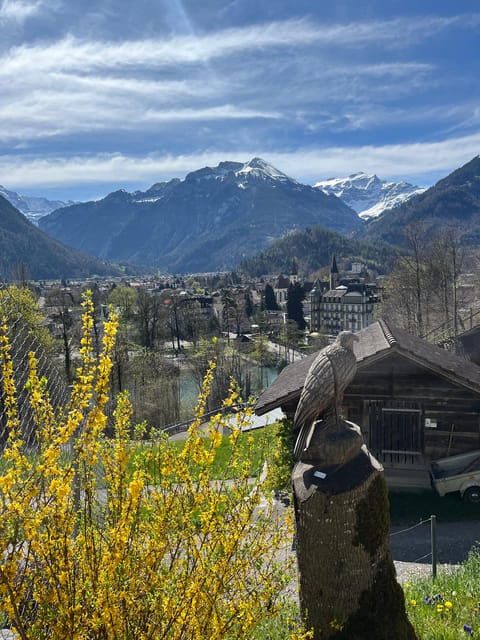 Interlaken: Guided Hike to Harder Kulm with Swiss Triathlete - Price and value: is $98 worth a 5 hour hike to the summit?