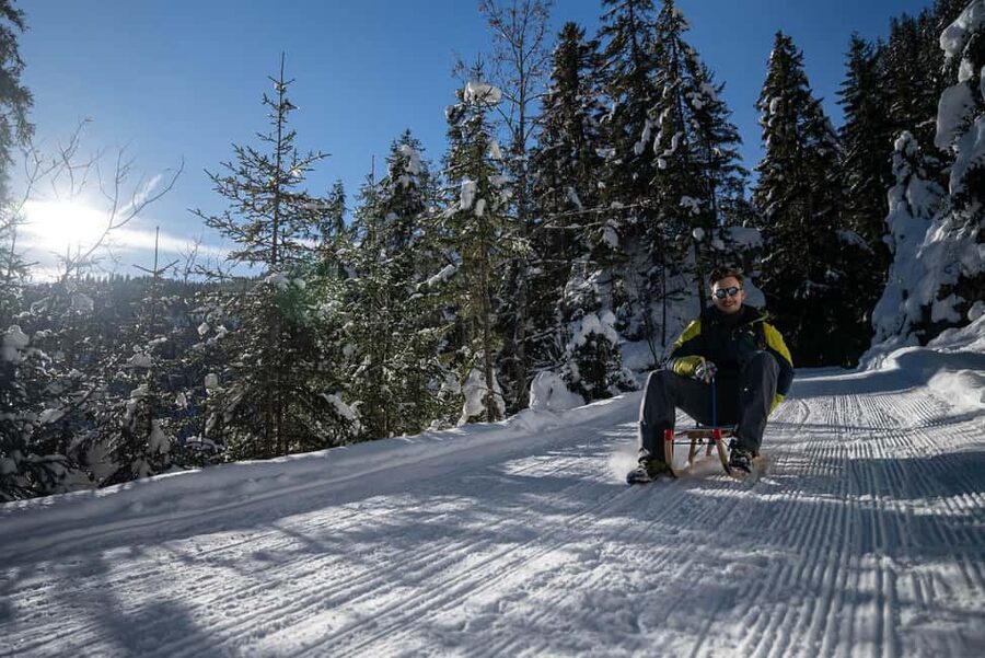 Interlaken: Guided Sledging Adventure - Key Things You Should Know
