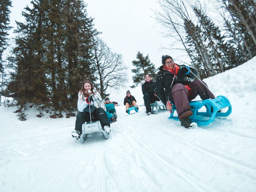 Interlaken: Guided Sledging Adventure - The Sled Track Ride: Woods, Meadows, and Frozen Water