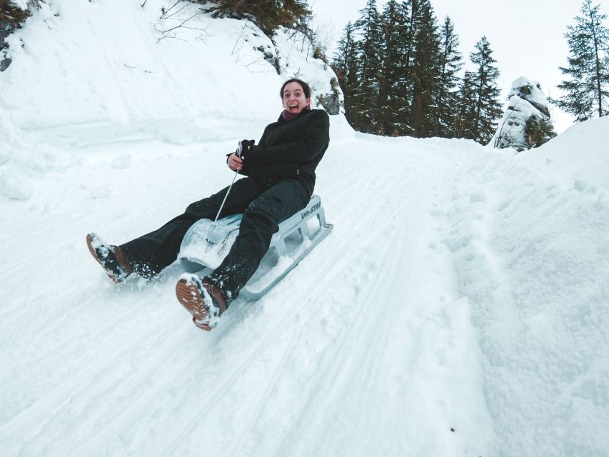 Interlaken: Guided Sledging Adventure - The Eiger Moment: Seeing a Famous Peak Up Close