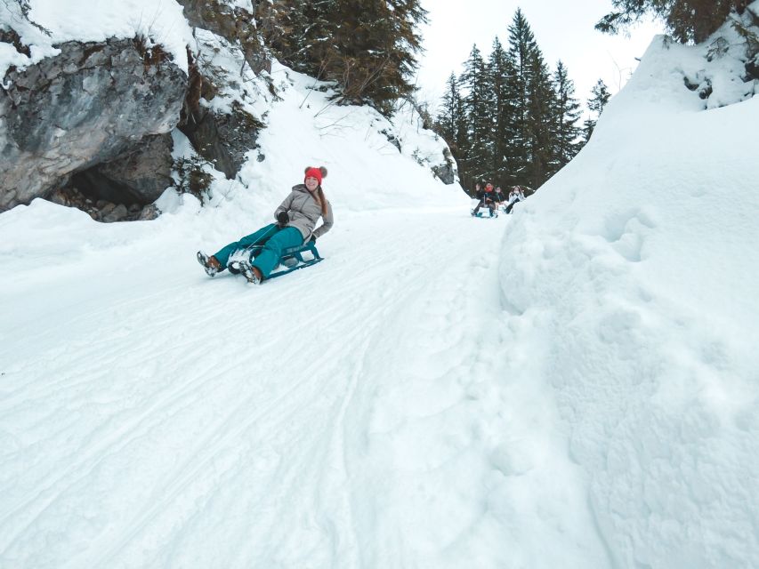 Interlaken: Guided Sledging Adventure - Guides and Group Energy: When Instruction Turns Safety Into Enjoyment