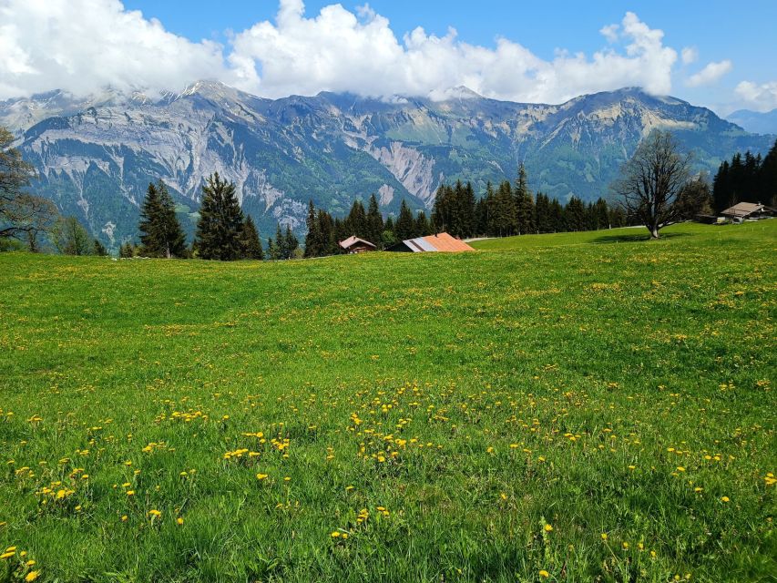 Interlaken: Highlights Tour with a Local by Private Car - Price and value: what $549 per person buys in practice