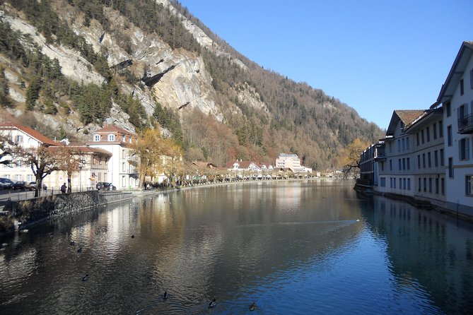 Interlaken Private Tour: Mountains Cows, Thun Lake, and Brienz Lake - What to expect from the guide, and why Hans is a big deal here