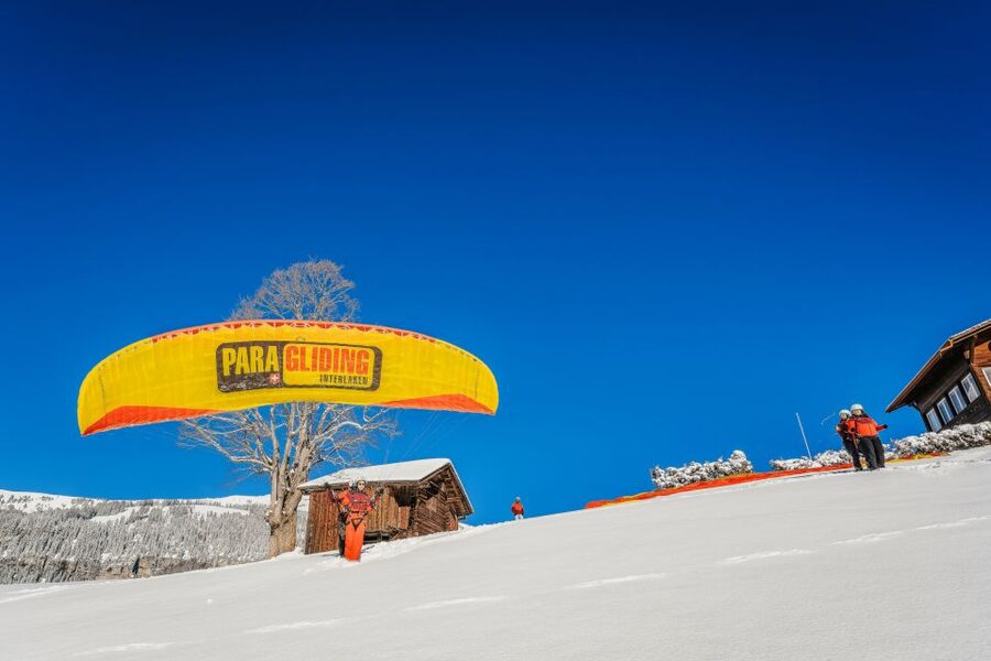 Interlaken: Tandem Paragliding Flight - Who This Paragliding Flight Suits Best, and Who Might Want to Skip