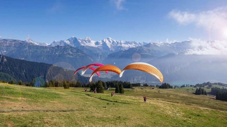 Interlaken: Tandem Paragliding Flight with Pilot - Over Lake Thun and the Alps: what you actually see from your seat