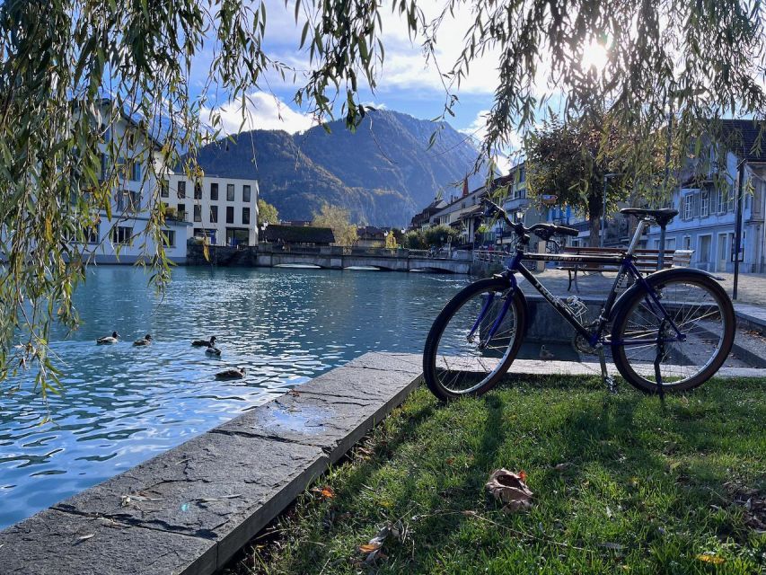 Interlaken Valley E-Bike Tour: Rivers, Lakes & Forests - Terrain, Pace, and Who This Is Actually For