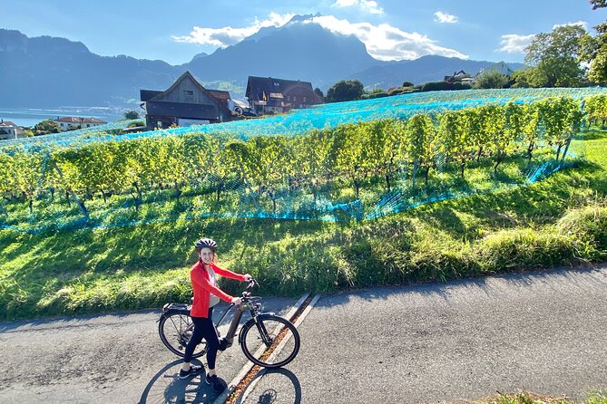 Lake Lucerne Peninsula e-Bike Tour - Key things to know before you go