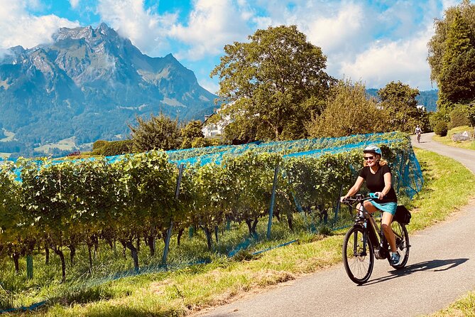 Lake Lucerne Peninsula e-Bike Tour - What the route feels like: city, trails, woods, and lake air