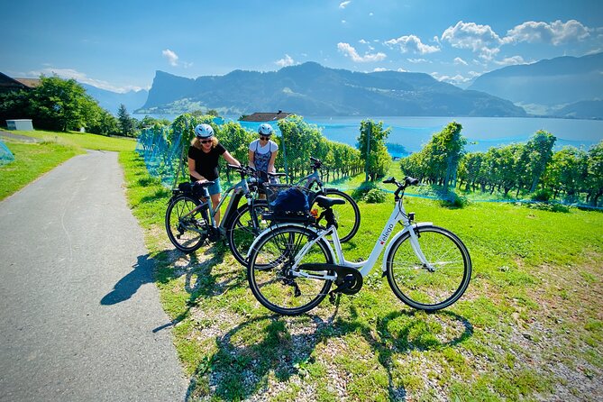 Lake Lucerne Peninsula e-Bike Tour - “Not a bike lesson”: who should come and who should skip it