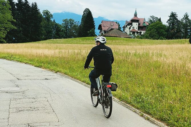 Lake Lucerne Peninsula e-Bike Tour - Timing tips so you enjoy the lake, not the hassle